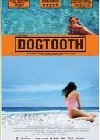 Dogtooth (2009)3.jpg